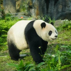 新宿セレブショップ